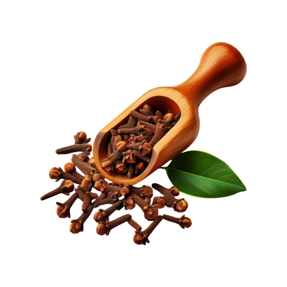 Wooden spoon of clove on transparent background png