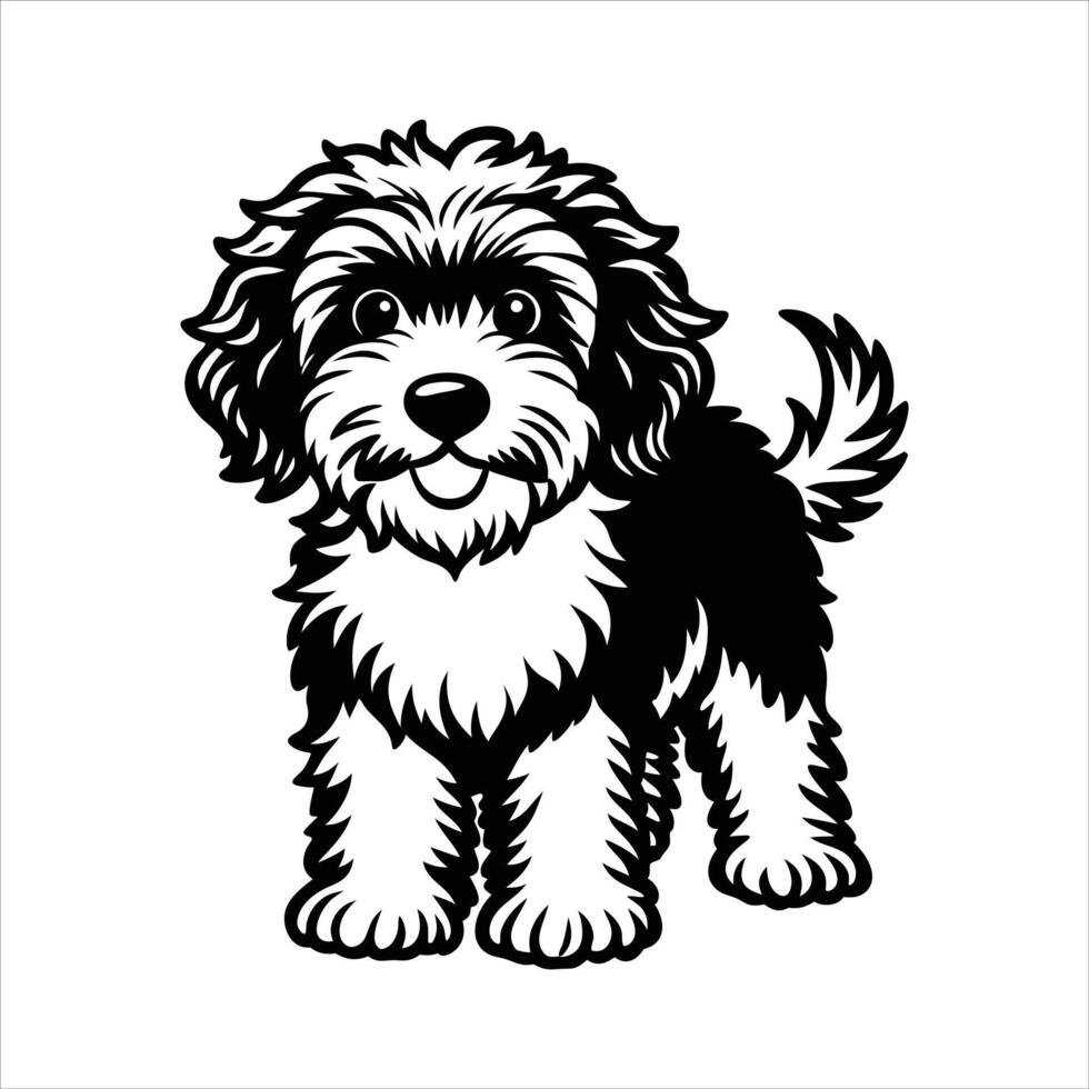 Lagotto Romagnolo Vectors