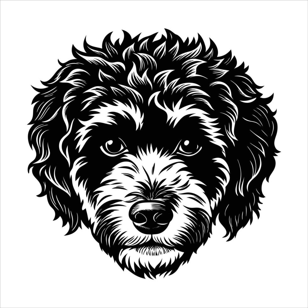 Lagotto Romagnolo Dog Face vector
