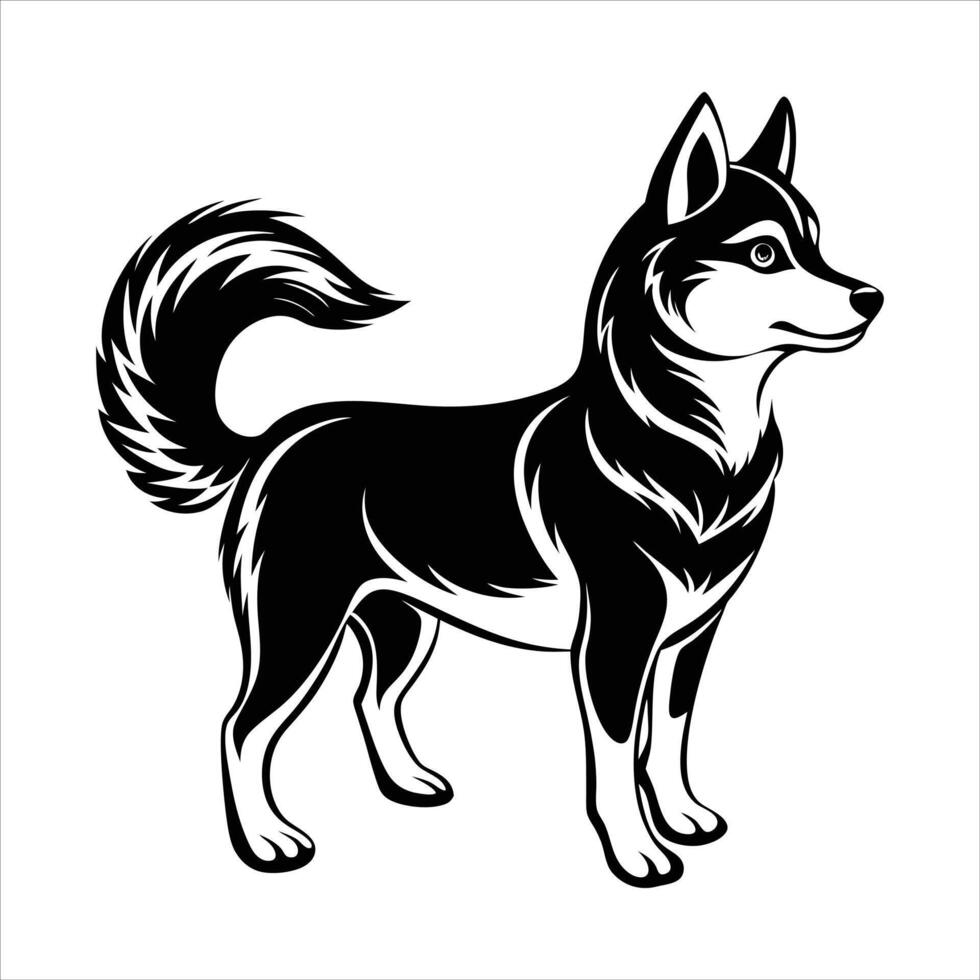 Cute Alaskan Klee Kai Profile vector
