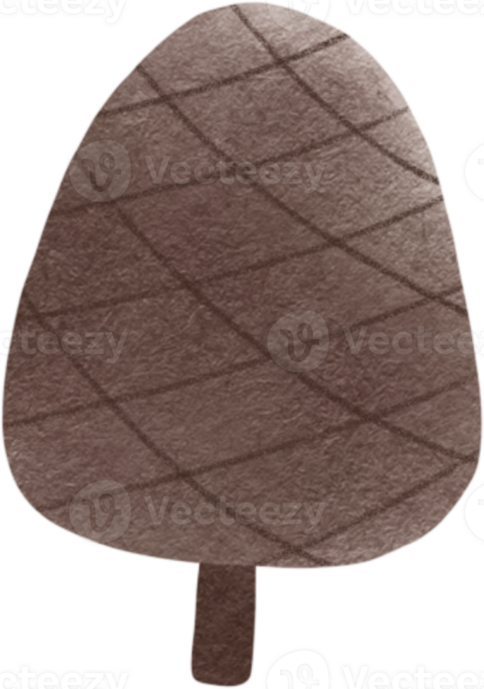 acorn pine tree cone clipart png