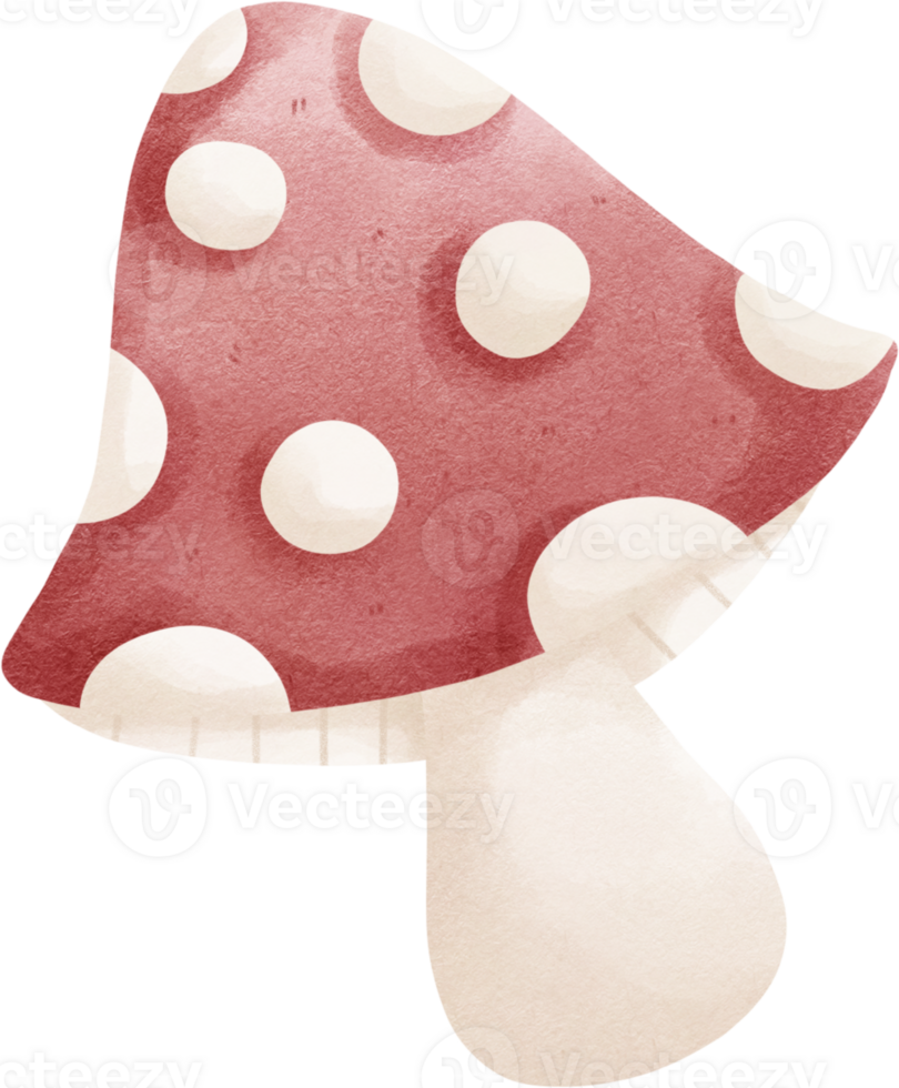 a red and white mushroom with polka dots png