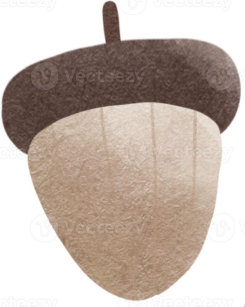 an acorn on a transparent background png