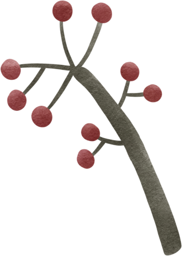 a tree with red berries on it png