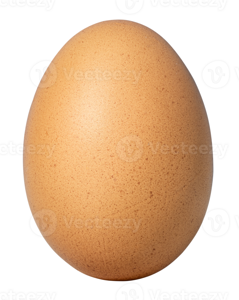 Close up of brown chicken egg isolated on transparent background png