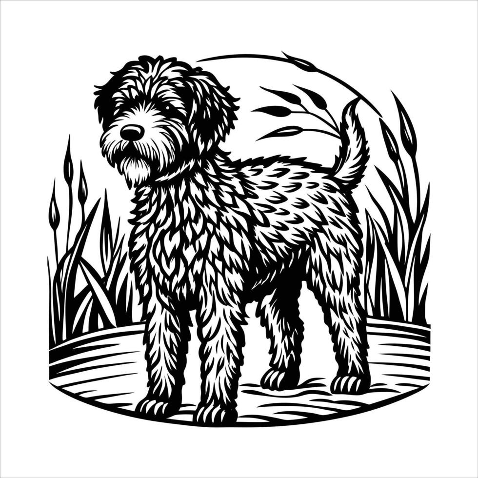 Lagotto Romagnolo Dog Standing vector