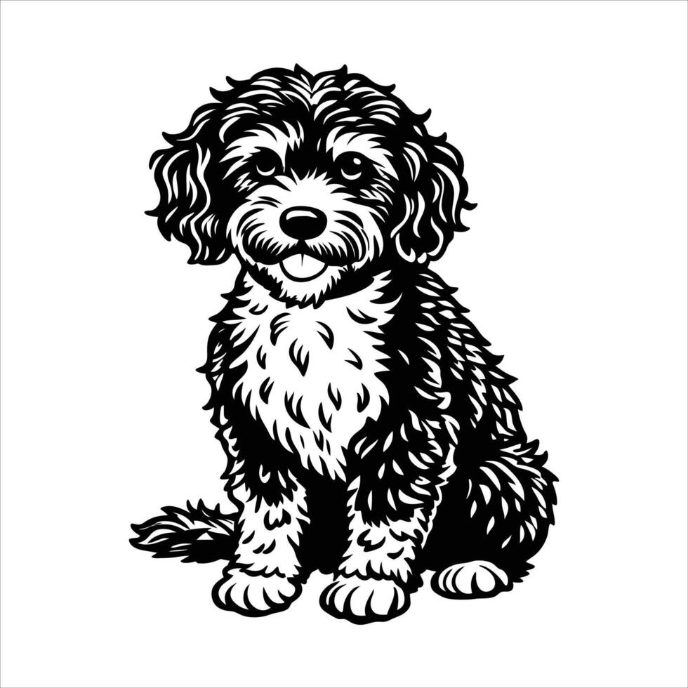 Cute Lagotto Romagnolo Sitting a Playing vector