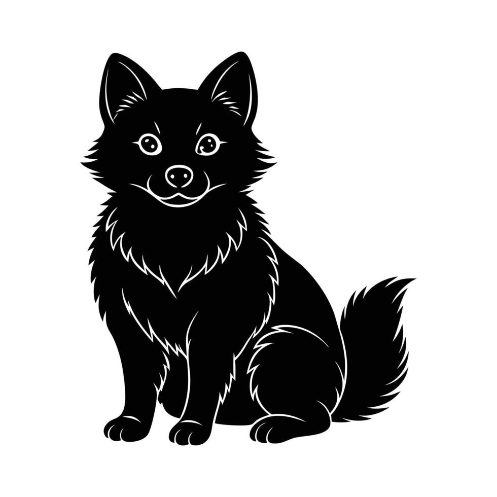 Cute Schipperke Dog vector