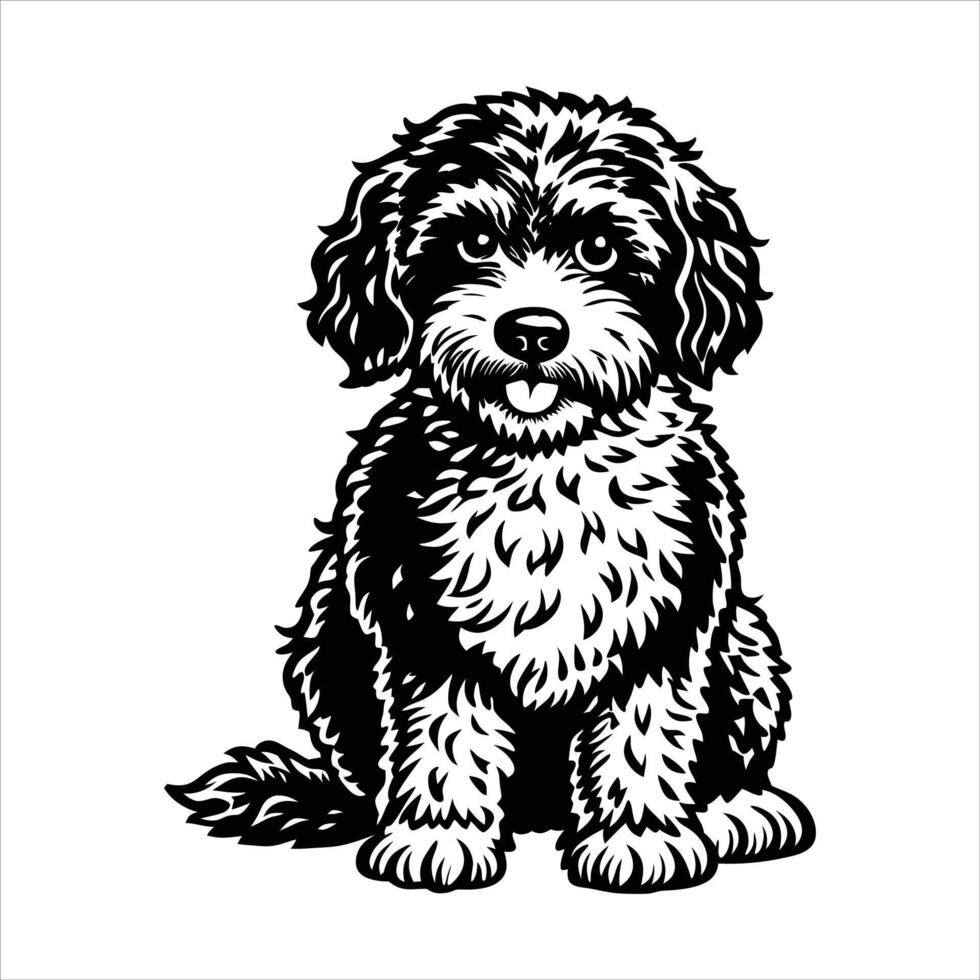 Lagotto Romagnolo Sitting a Playing vector
