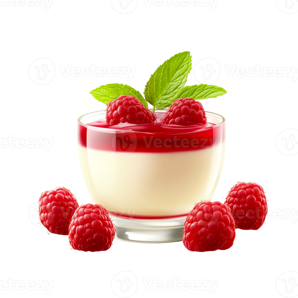 Fresh raspberry panna cotta presentation png