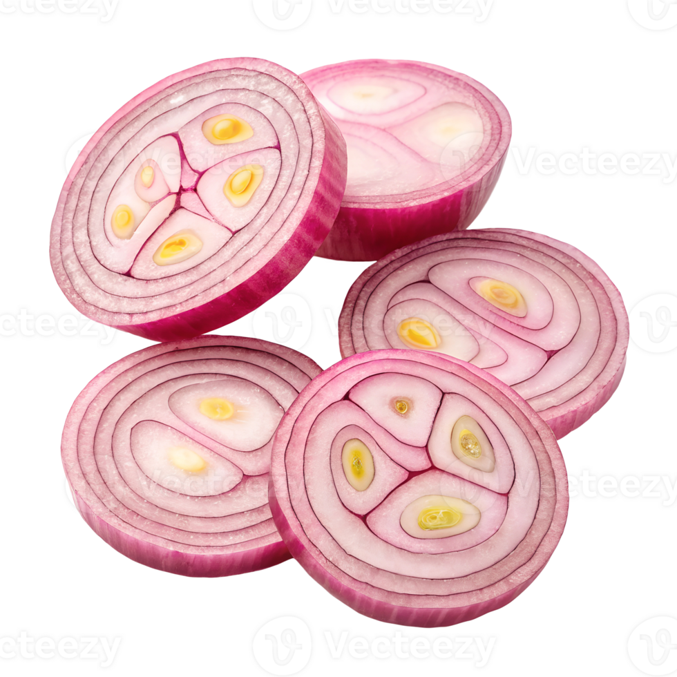Onion slices design isolated on transparent background png