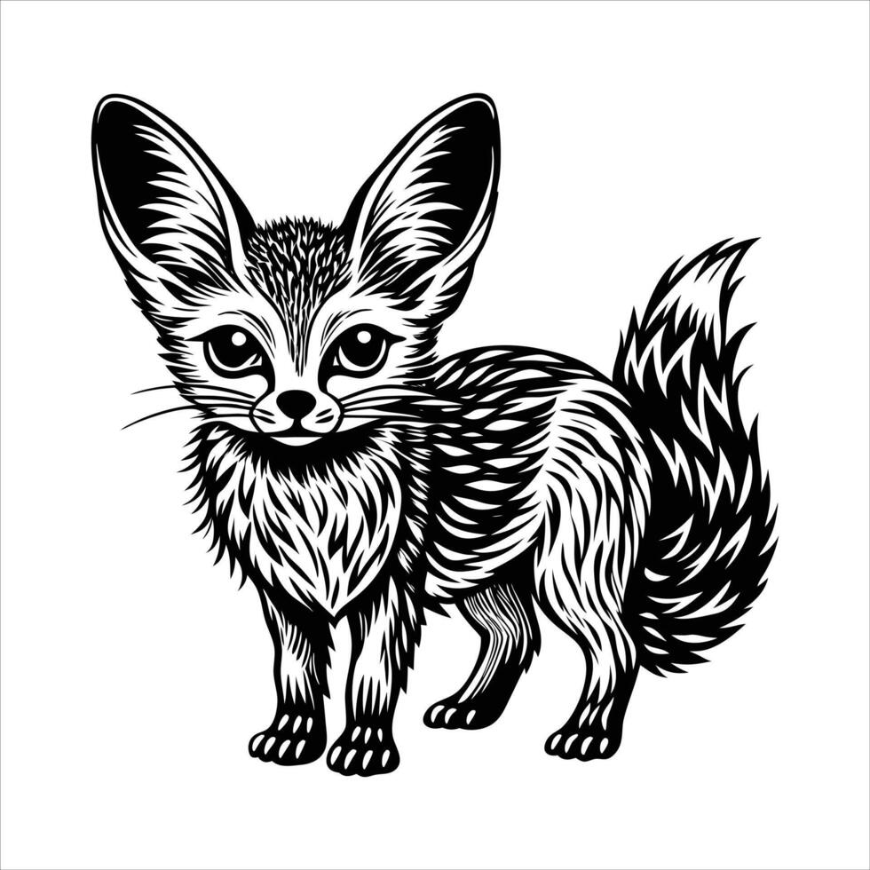 Fennec Fox Facts Information vector