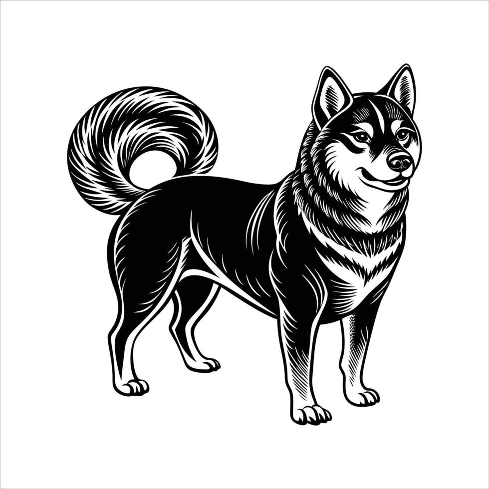 Cute Shiba Inu Dog Standing vector