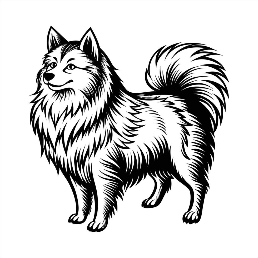 Samoyed Dog Standing Proudly vector