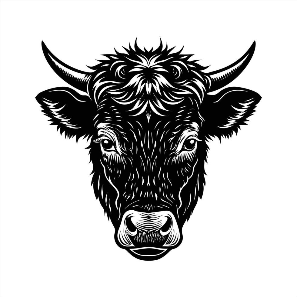 British White Cattle face. vector