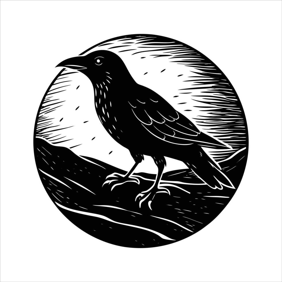 Crow Standing Pictures vector