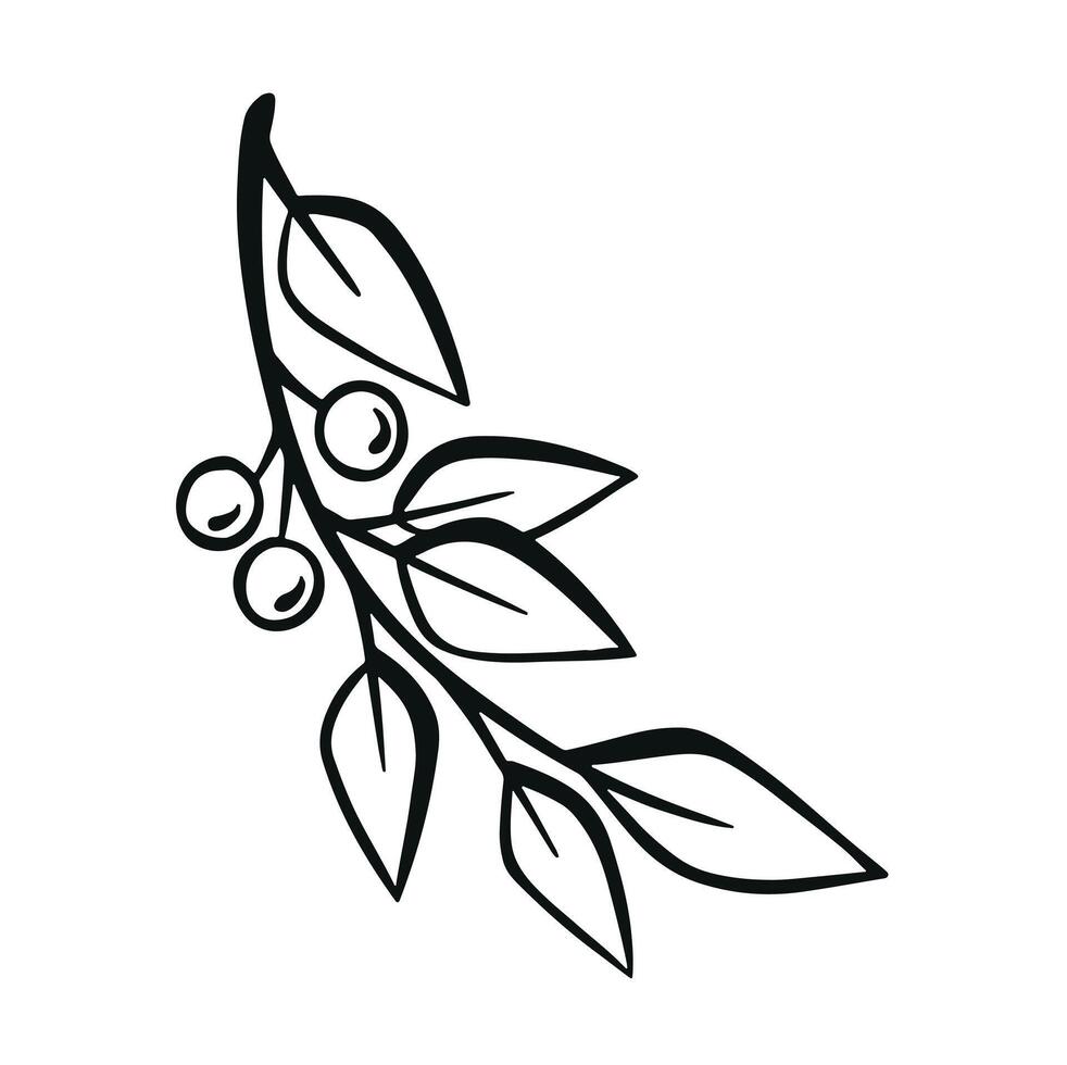 black and white line decorative branch hand drawn illustration vector