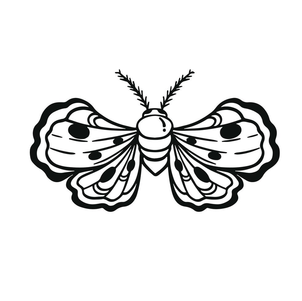 black and white line butterfly insect decorative hand drawn illustration vector