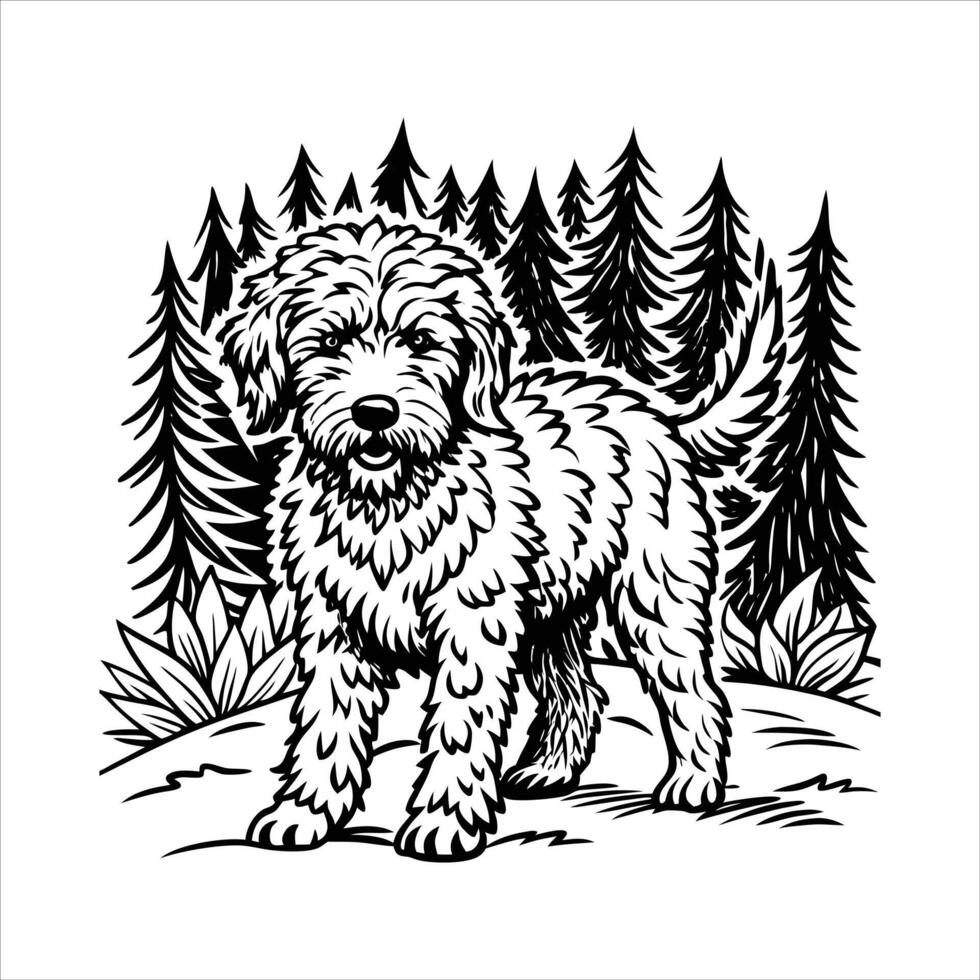 Lagotto Romagnolo Dog Walking vector