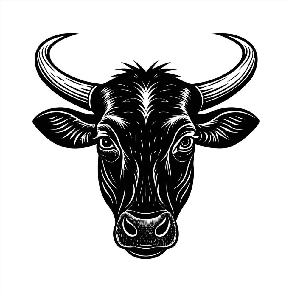 Nguni Cattle - Arca del Gusto vector