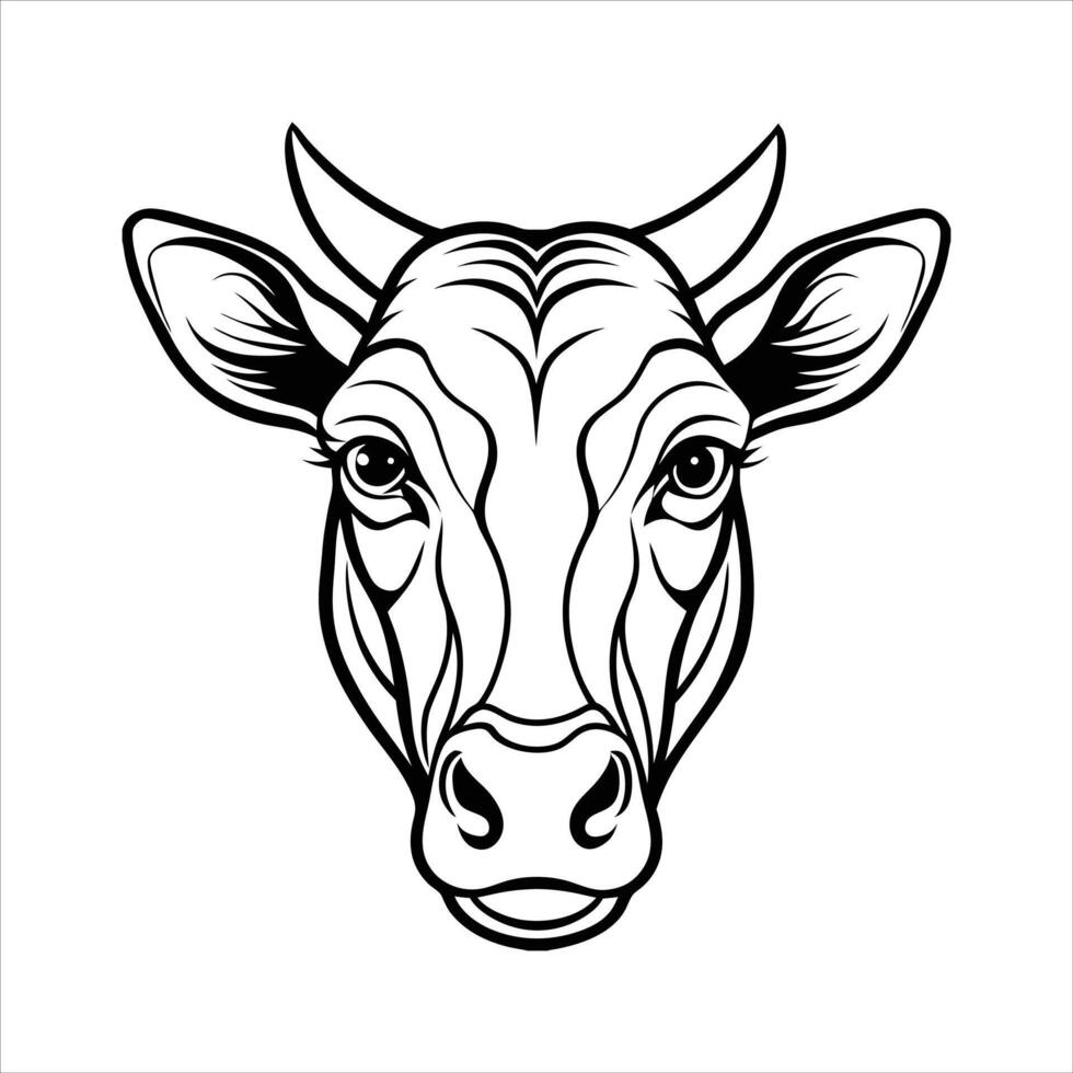 Dairy Shorthorn Association vector