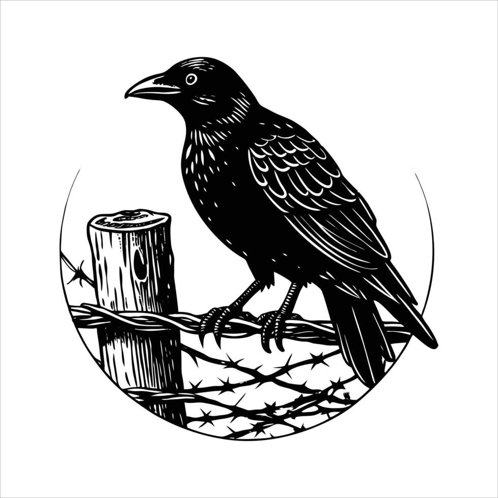Crow On A Fence Pictures vector