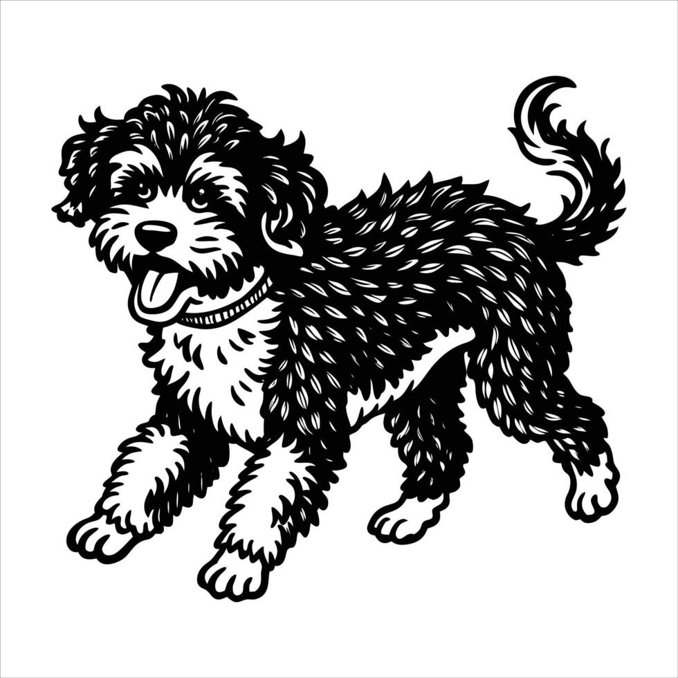 Lagotto Romagnolo Running vector