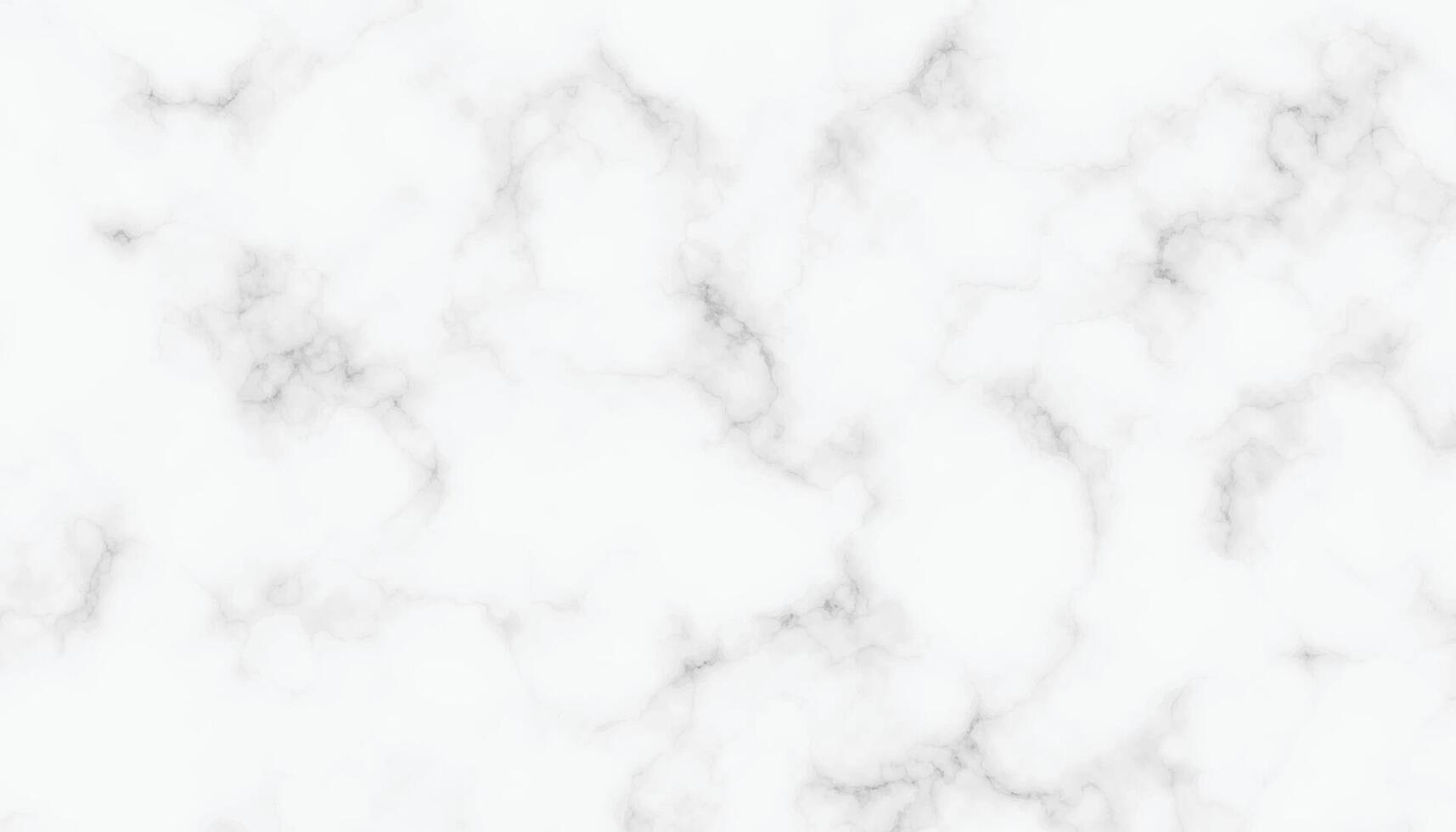High-Quality White and Gray Marble Surface Pattern vector