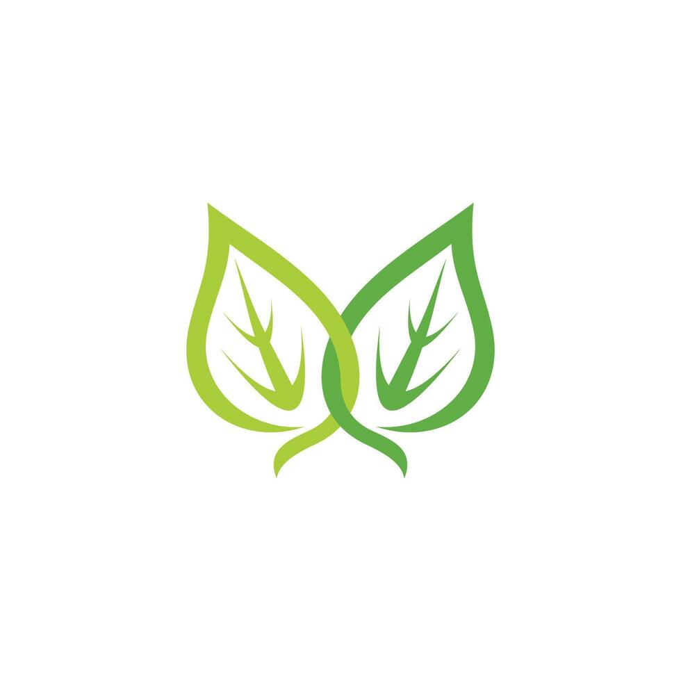 linked colorful curves smooth green leaf vector