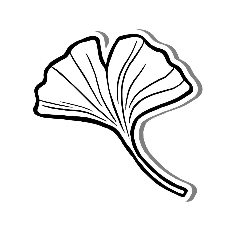 Ginkgo Leaf on white silhouette and gray shadow. Hand drawn cartoon style. illustration for decorate and any design. vector
