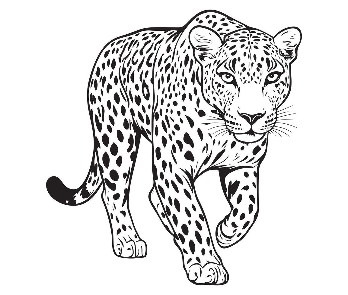 Walk Leopard Silhouette vector