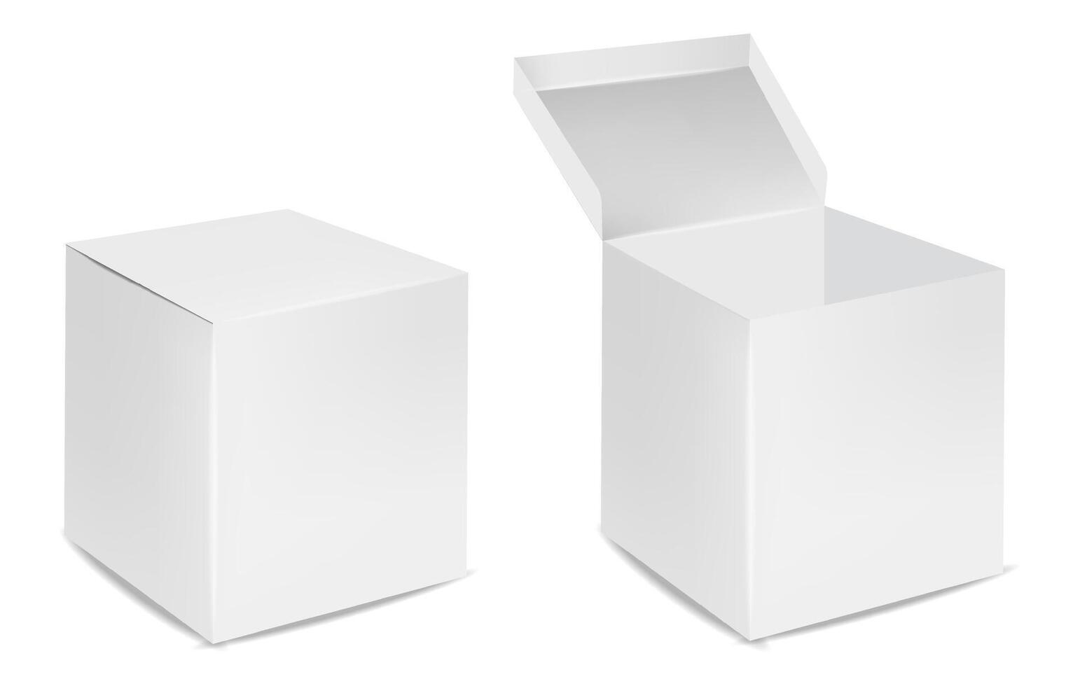Isolated box packaging, realistic isolated white background, two vector