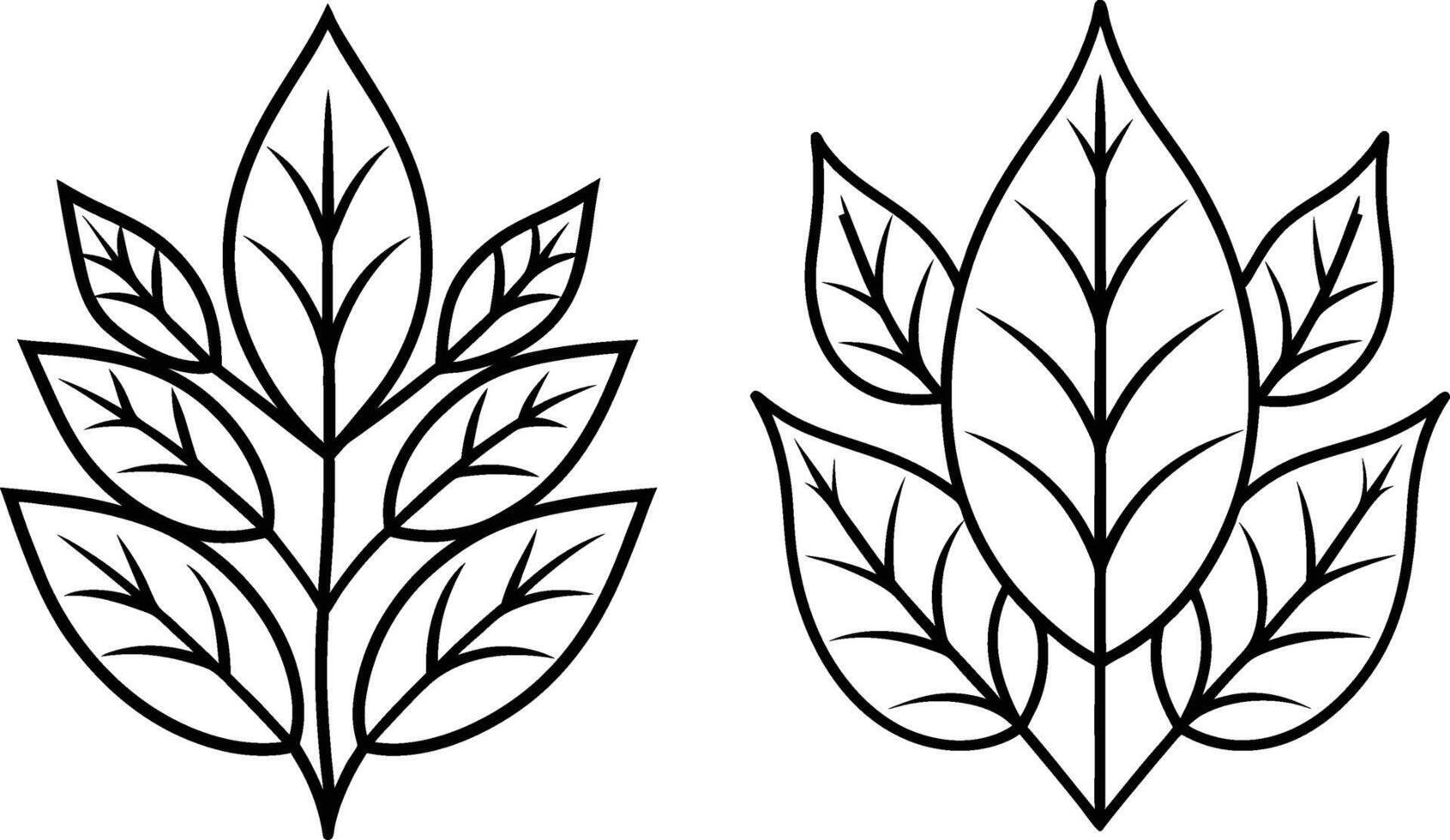 Outline leaf silhouette illustration vector