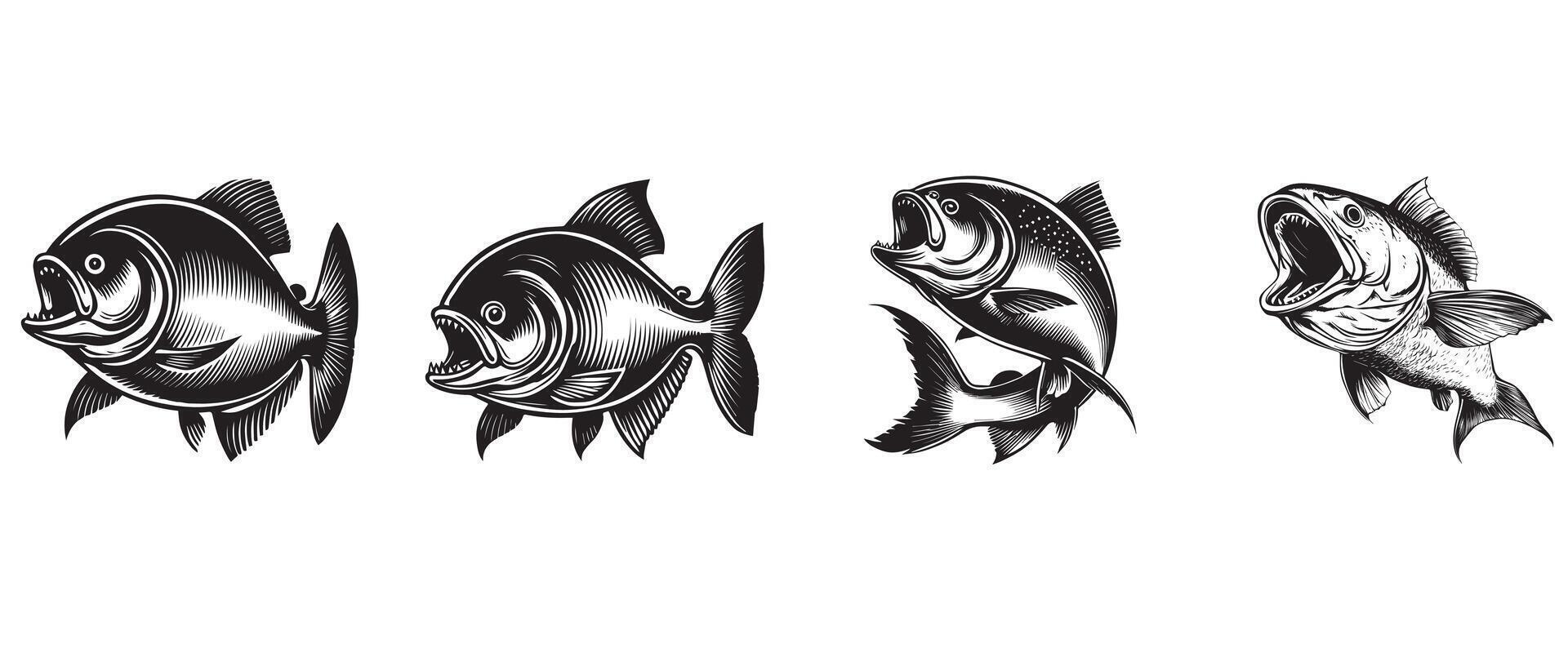 Beautiful Piranha Fish Clipart Illustration Design Graphics set vector