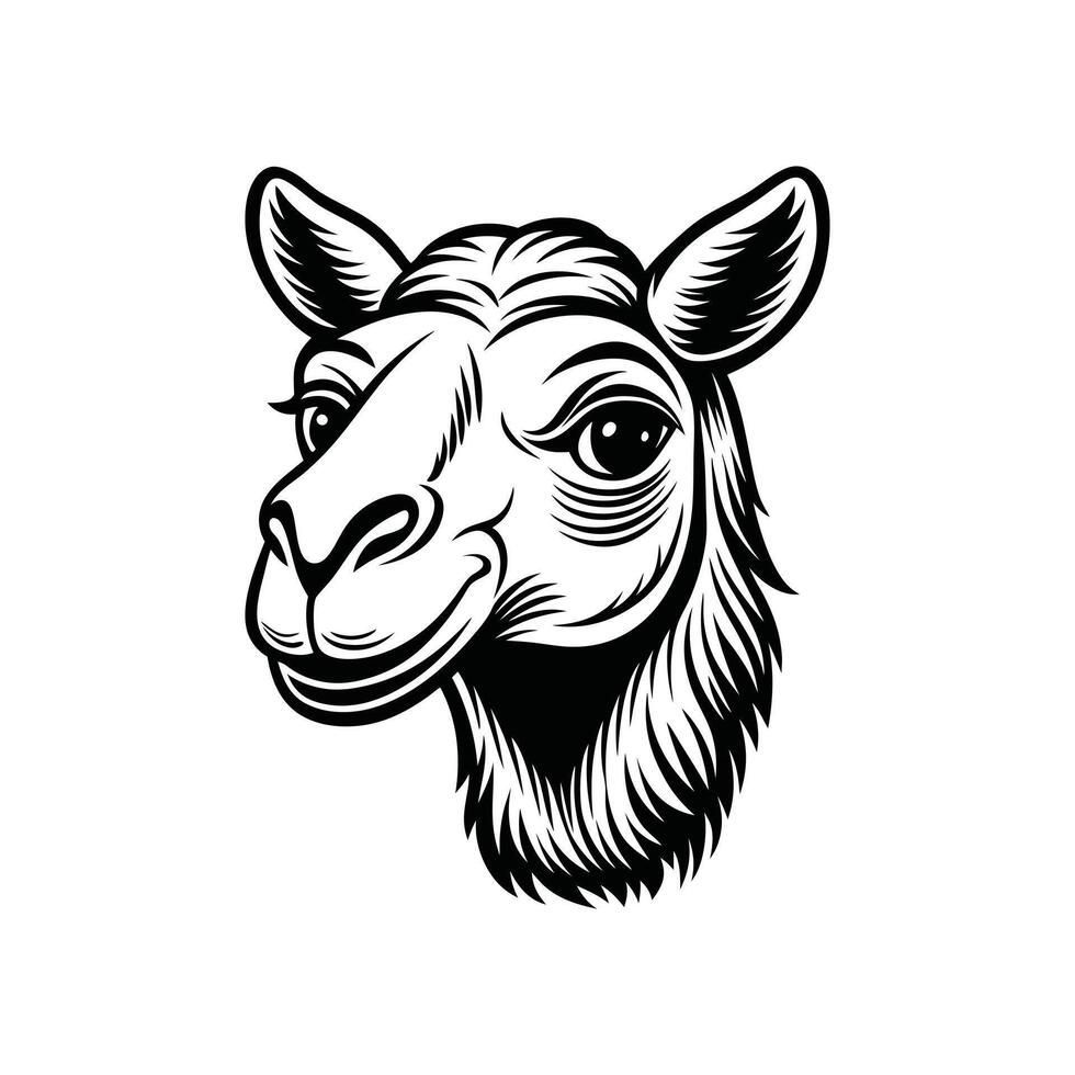 Elegant Camel Head Minimalist Desert-Themed Illustration vector