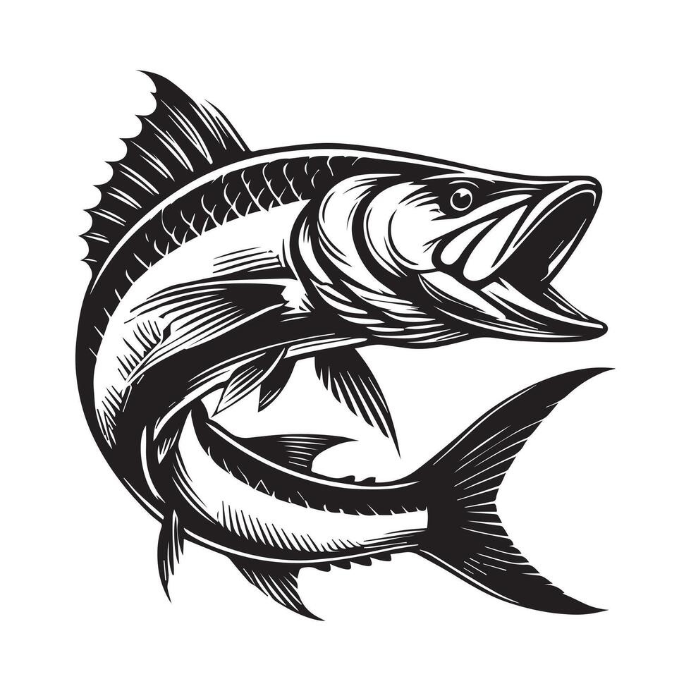 Realistic Tarpon Fish Illustration Clipart Drawing vector