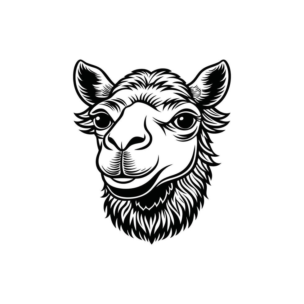 Camel Silhouette Art for Project vector