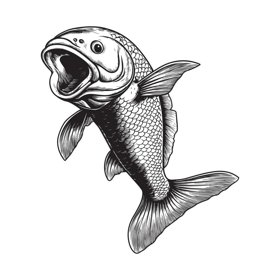 Common Carp Fish Digital Clipart vector