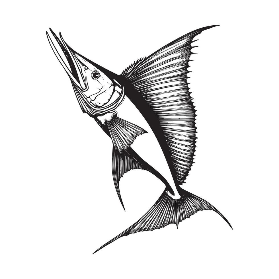Collection of Vibrant Sailfish Fish Illustration Clipart Image vector