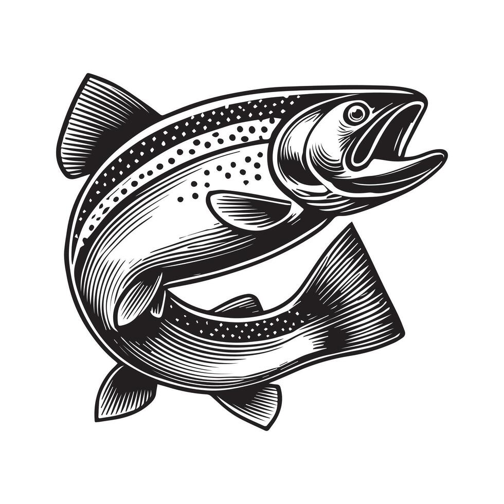 Atlantic salmon fish illustration, Sea fish different poses Design vector