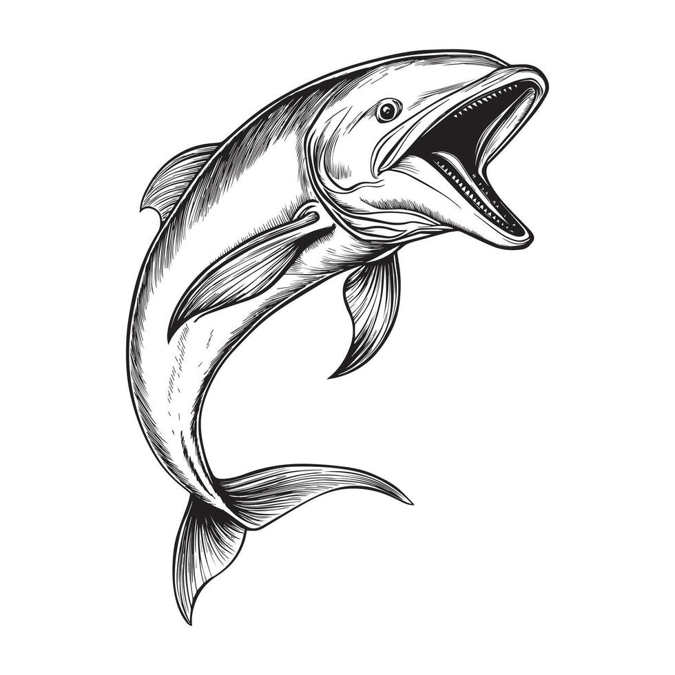 Sleek Mahi Mahi Fish Clipart Illustration Design vector