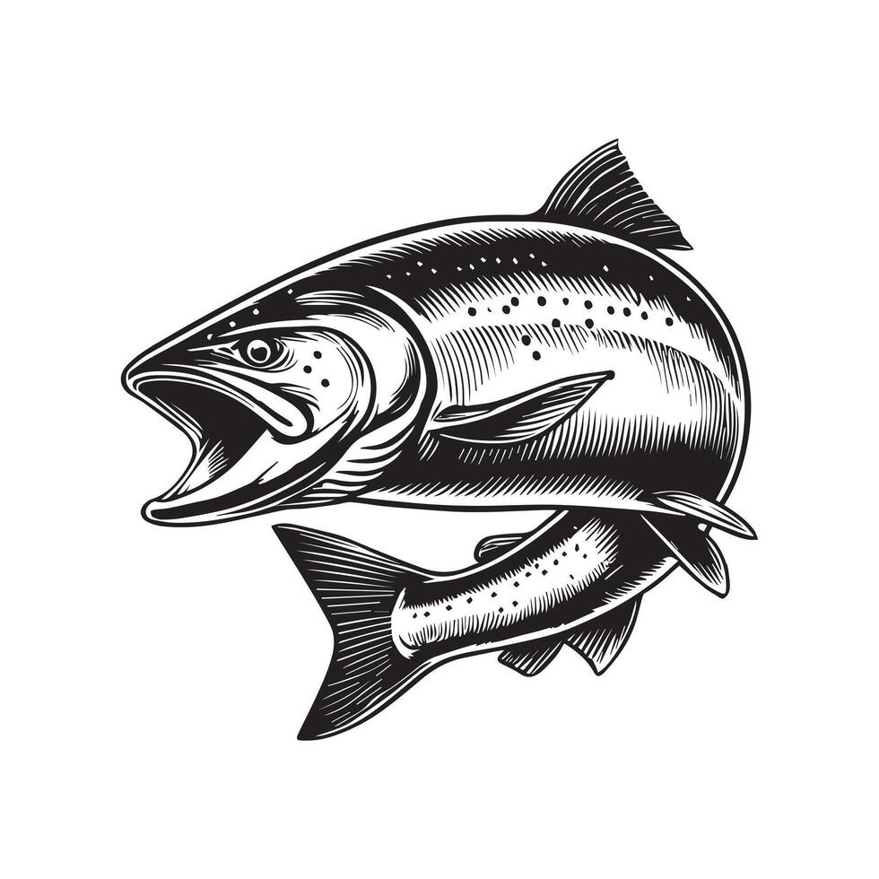 Atlantic salmon fish Design vector
