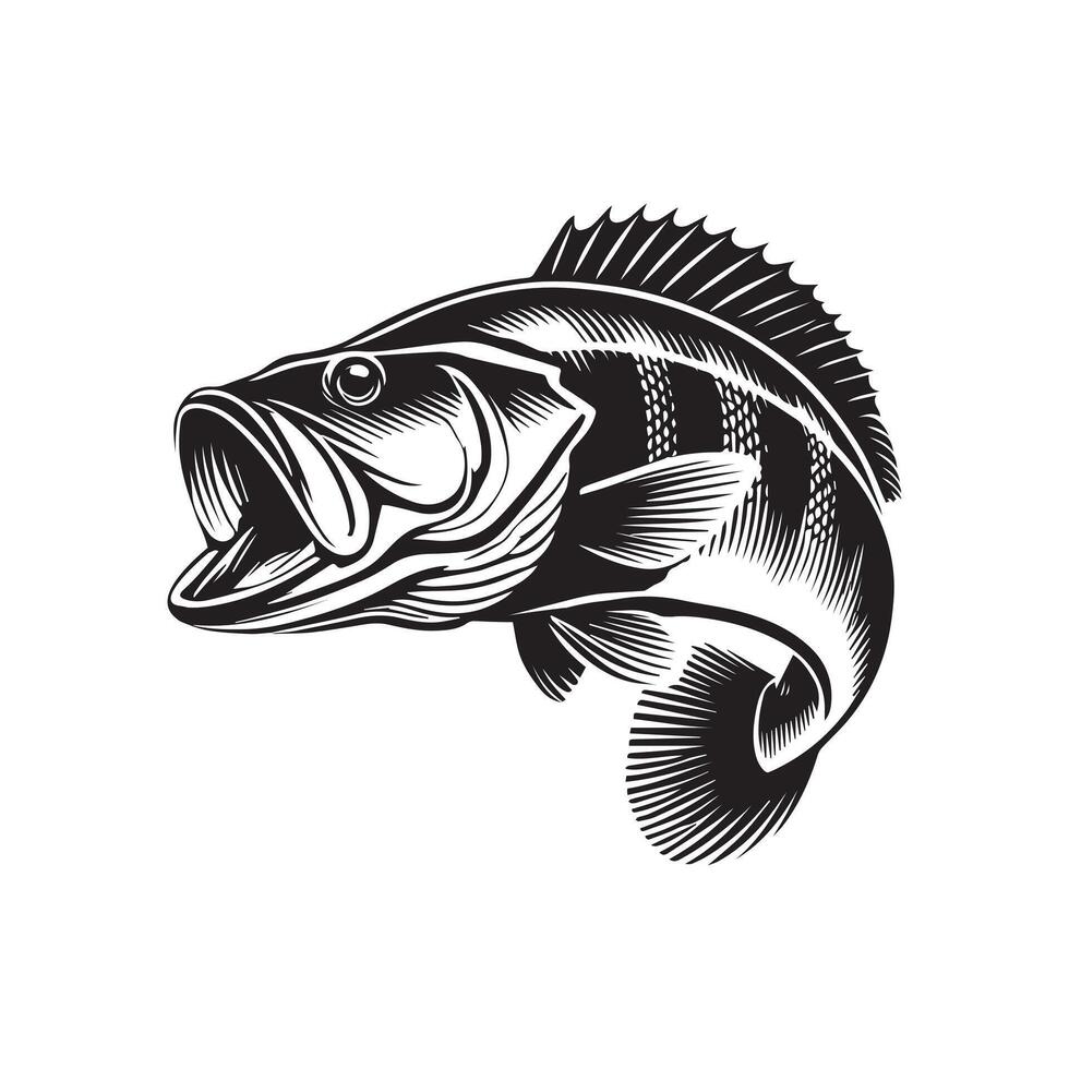 Dynamic Peacock Bass Fish Clipart Illustration Design Image vector