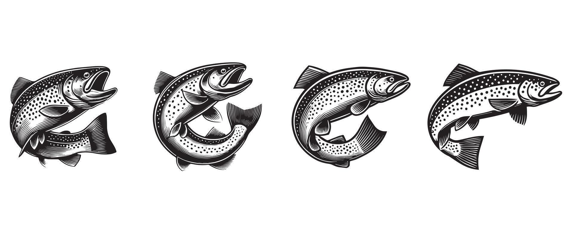 Set of Trout Fish Illustration Clipart for Design Projects vector
