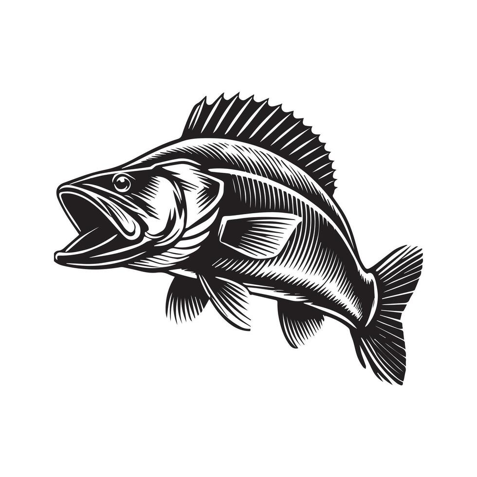 Vibrant Walleye Fish Illustration Clipart Image vector