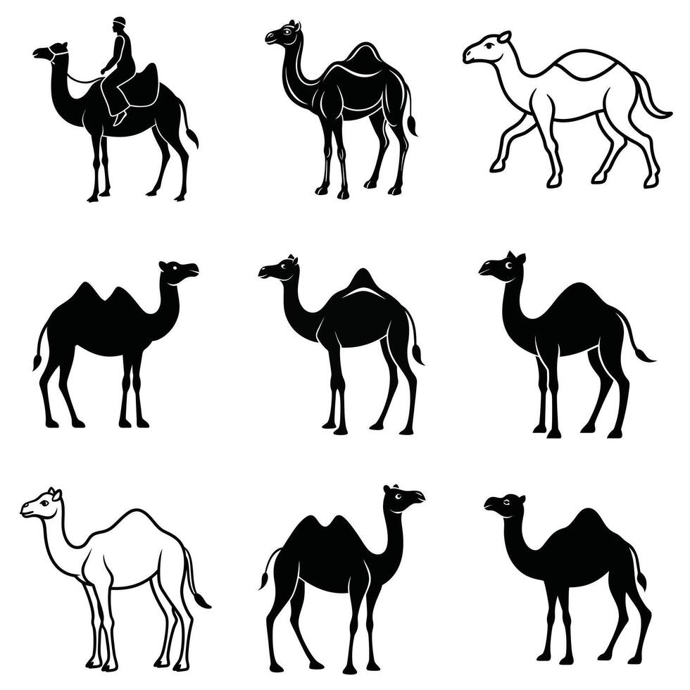 Elegant Camel Silhouette Collection vector