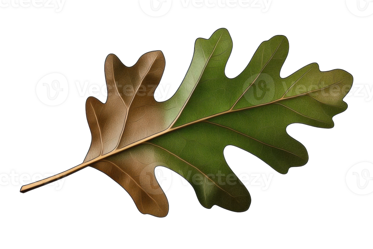 oak leaf green brown autumn digital painting on transparent background png