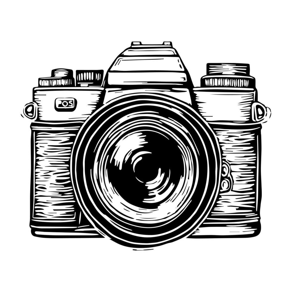 photography illustration design vector