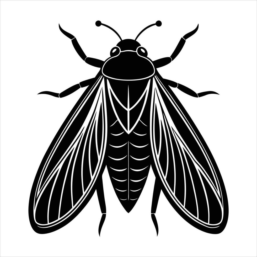 Leafhopper silhouette on white background vector