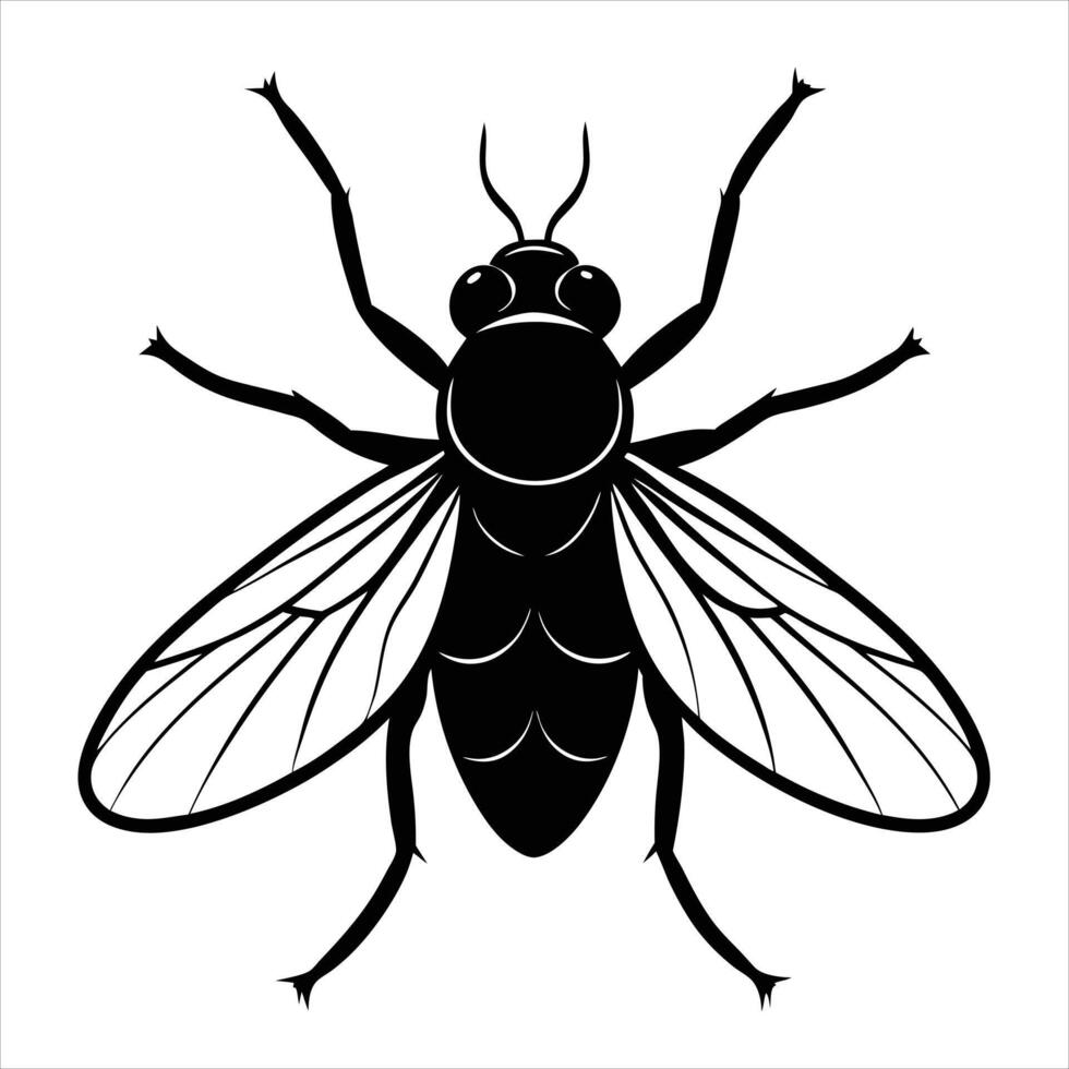 Housefly silhouette illustration on white background vector
